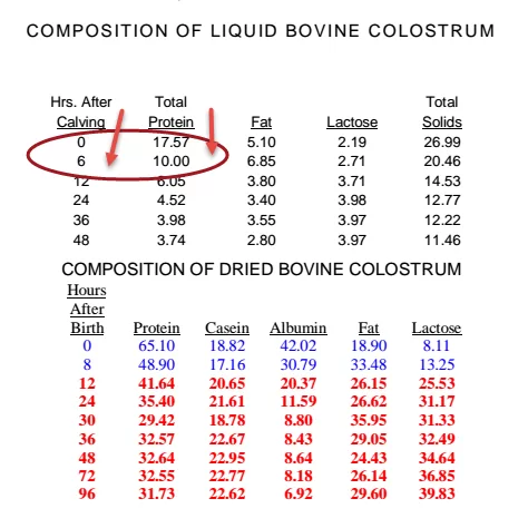 colostrum-timing-from-calving