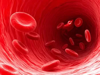 red-blood-cells swimming-in-a-blood-vain